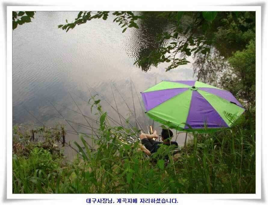 대형지 덩어리출현 (조황조행기 - 낚시점조황)