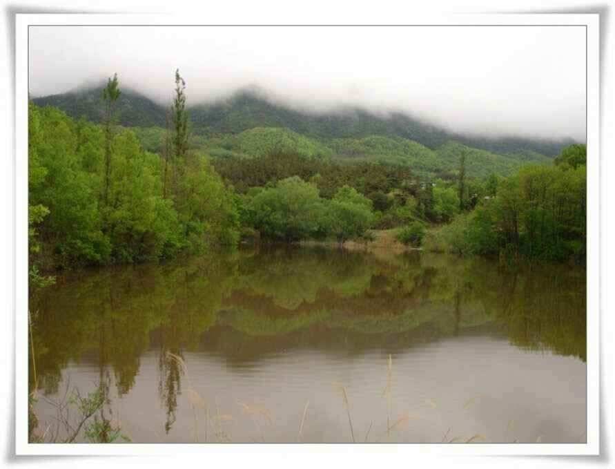뻘물을 피하라 (조황조행기 - 낚시점조황)