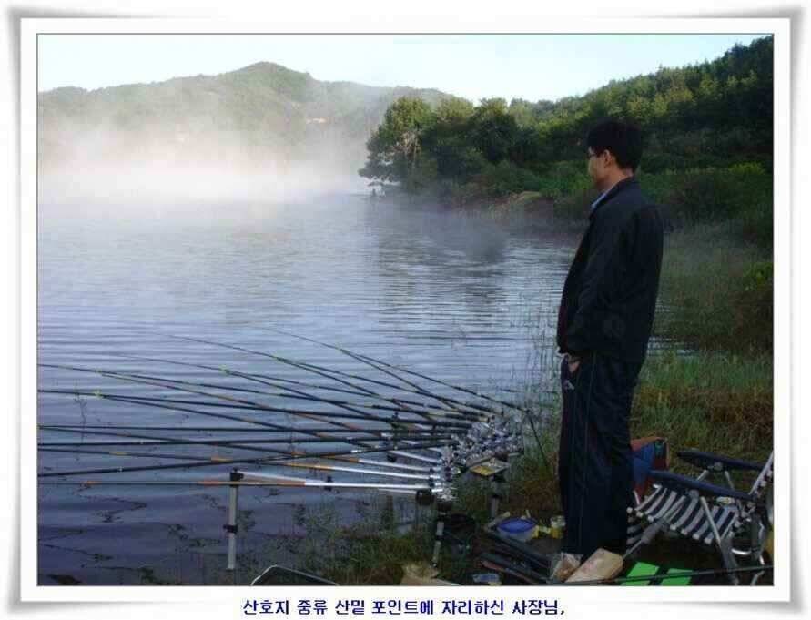 394cm 대물들의 위용 (조황조행기 - 낚시점조황)
