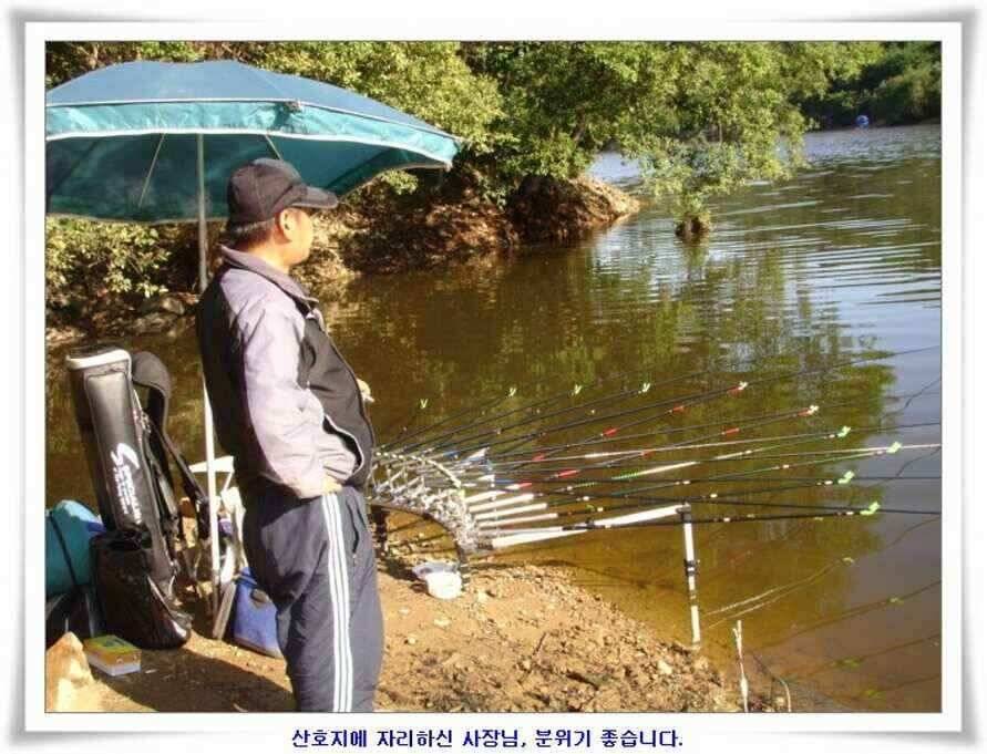 394cm 대물들의 위용 (조황조행기 - 낚시점조황)