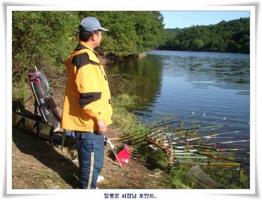 394cm 대물들의 위용 (조황조행기 - 낚시점조황)