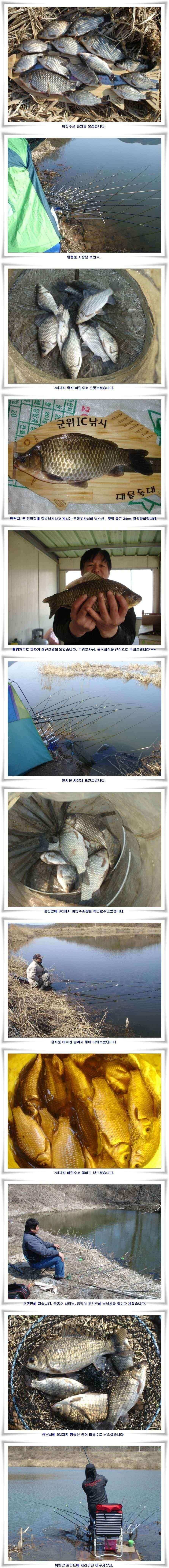 굵은 씨알들이 선을 보이고 (조황조행기 - 낚시점조황)