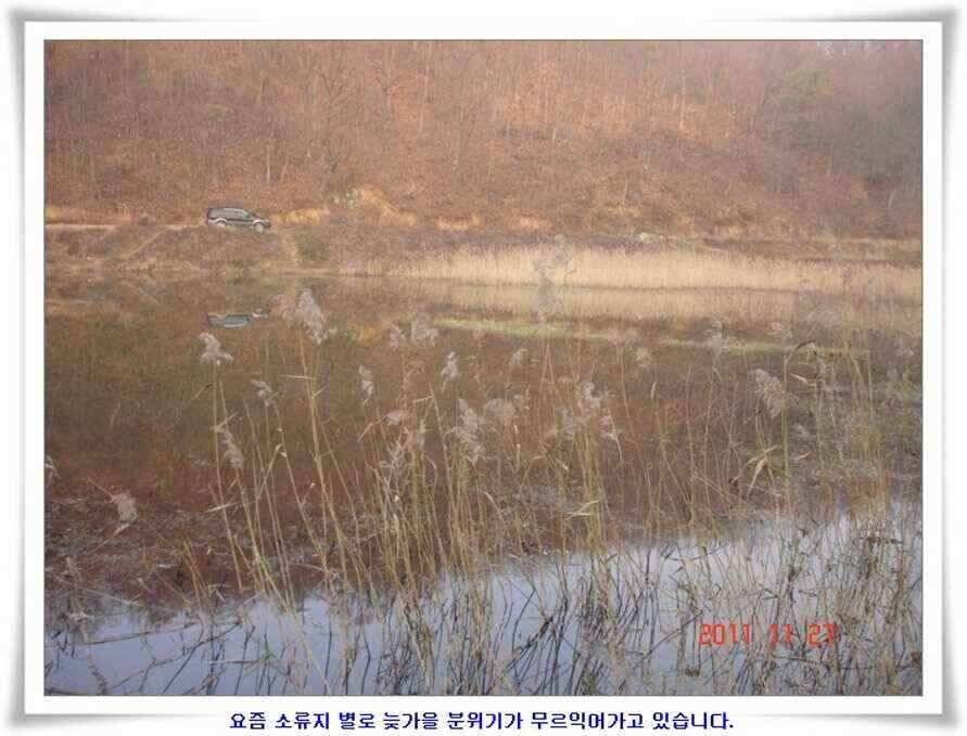 엄청난체고의 대물실시간조황 (조황조행기 - 낚시점조황)