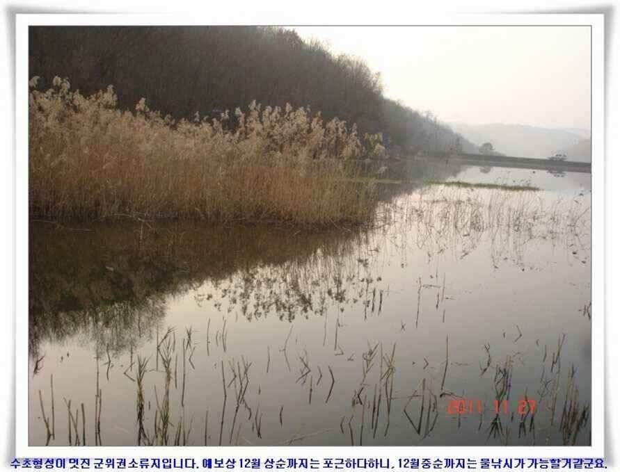 엄청난체고의 대물실시간조황 (조황조행기 - 낚시점조황)