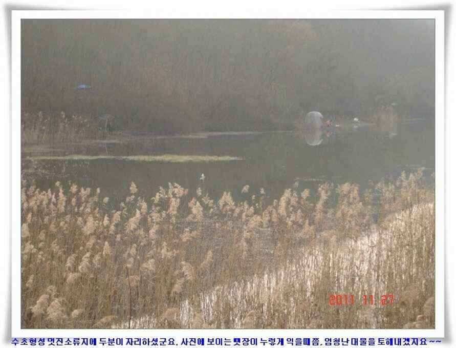 엄청난체고의 대물실시간조황 (조황조행기 - 낚시점조황)