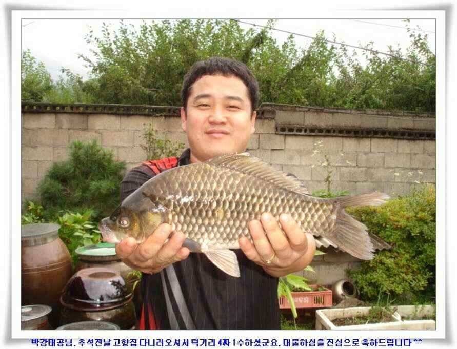 추석날 4짜조황 (조황조행기 - 낚시점조황)