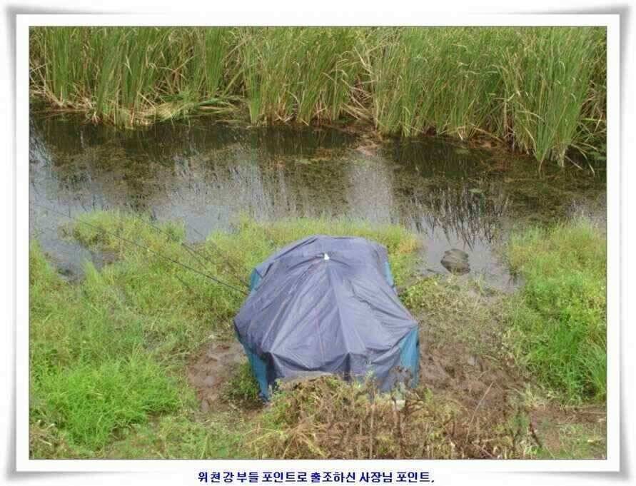 추석날 4짜조황 (조황조행기 - 낚시점조황)