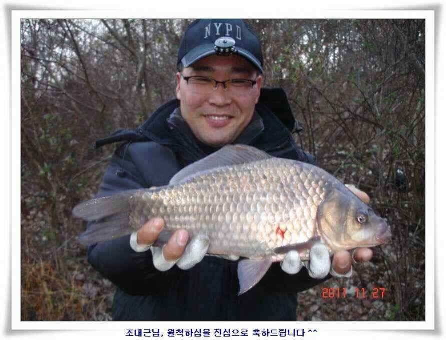 엄청난체고의 대물실시간조황 (조황조행기 - 낚시점조황)