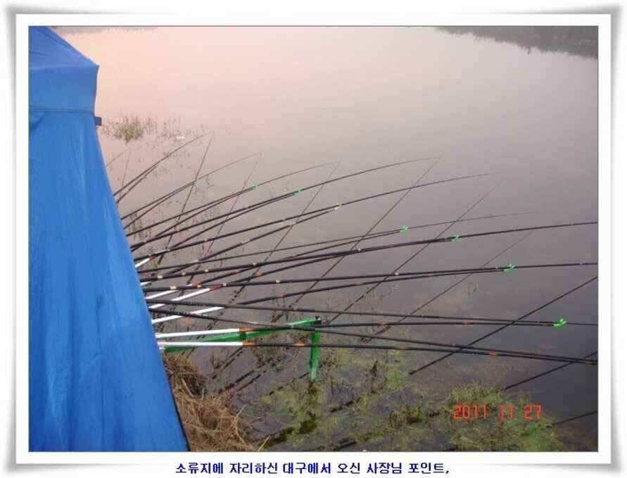 엄청난체고의 대물실시간조황 (조황조행기 - 낚시점조황)