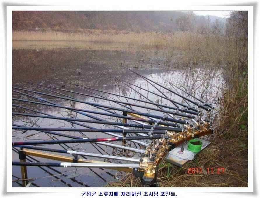 엄청난체고의 대물실시간조황 (조황조행기 - 낚시점조황)