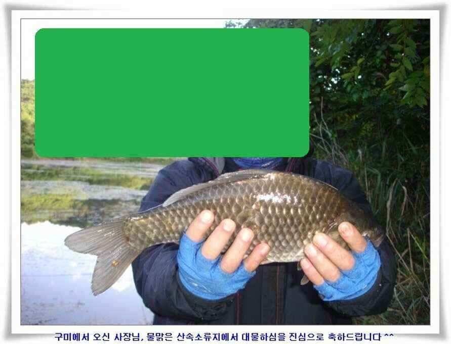 394cm 대물들의 위용 (조황조행기 - 낚시점조황)