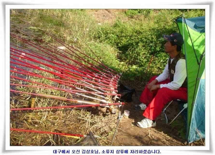 394cm 대물들의 위용 (조황조행기 - 낚시점조황)