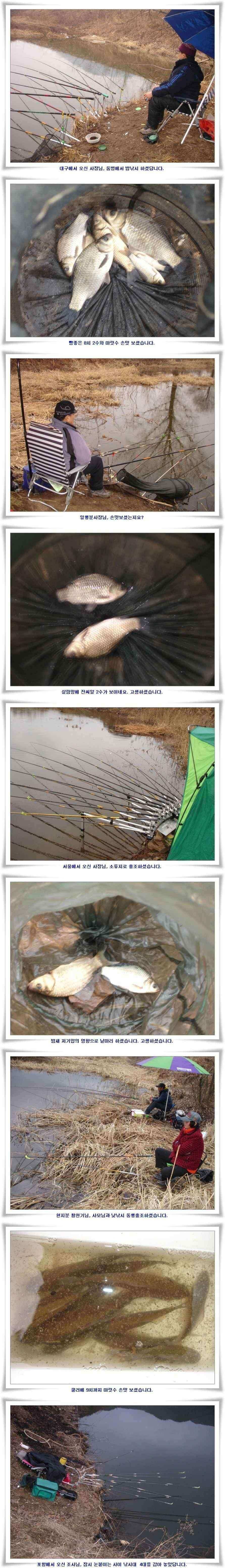 곳곳에서 입질이 터집니다 (조황조행기 - 낚시점조황)