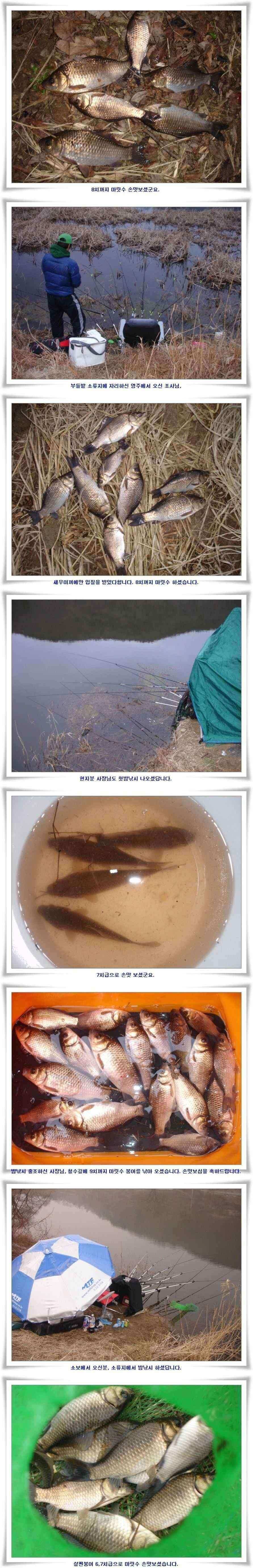 곳곳에서 입질이 터집니다 (조황조행기 - 낚시점조황)