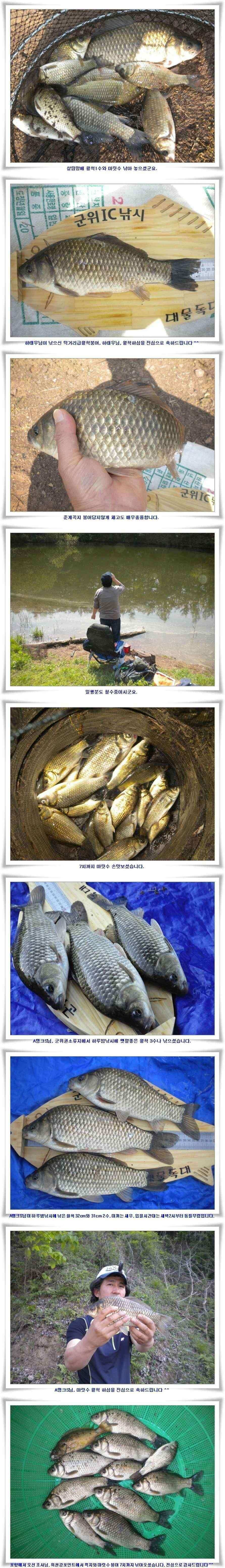 하루밤 월척 3수새우대물낚시조황 (조황조행기 - 낚시점조황)