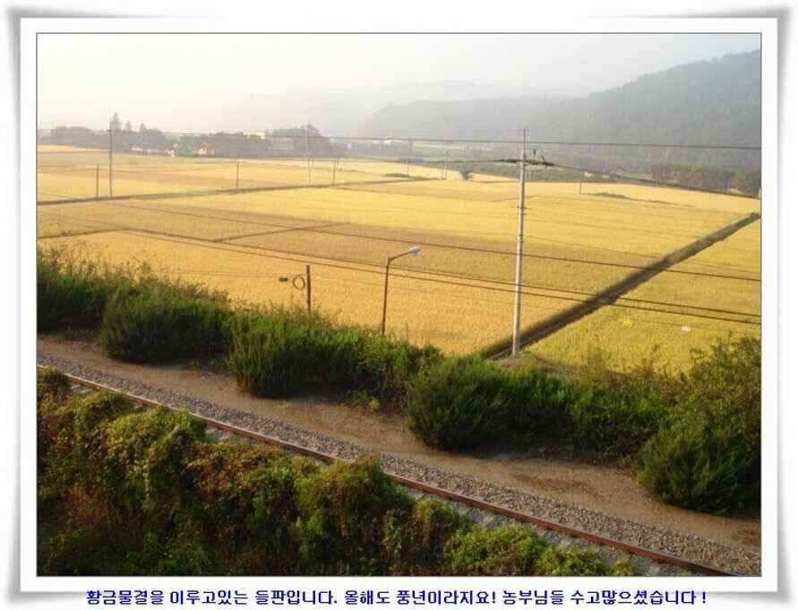 소류지와 강낚시조황 (조황조행기 - 낚시점조황)