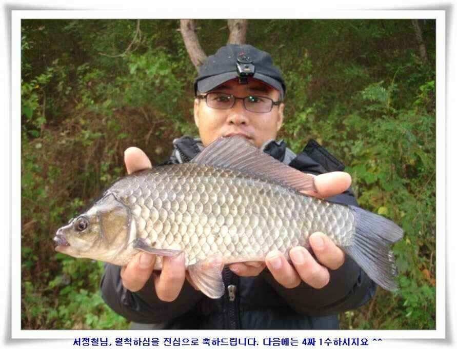소류지와 강낚시조황 (조황조행기 - 낚시점조황)