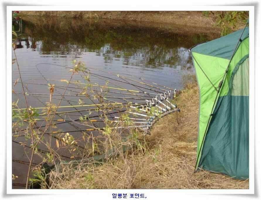 소류지와 강낚시조황 (조황조행기 - 낚시점조황)