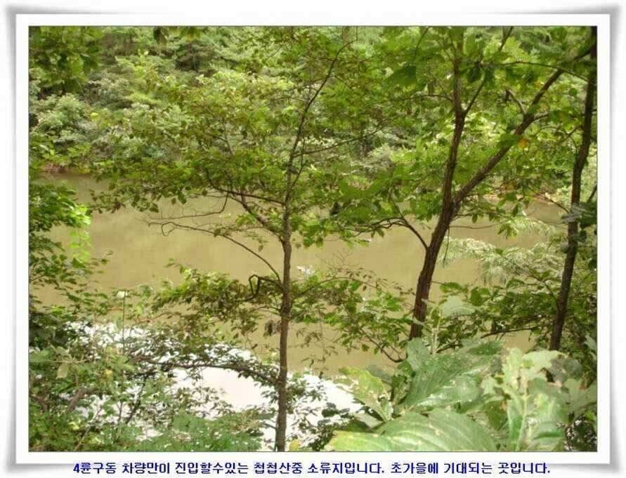 미개척소류지들과 대단한손맛 (조황조행기 - 낚시점조황)