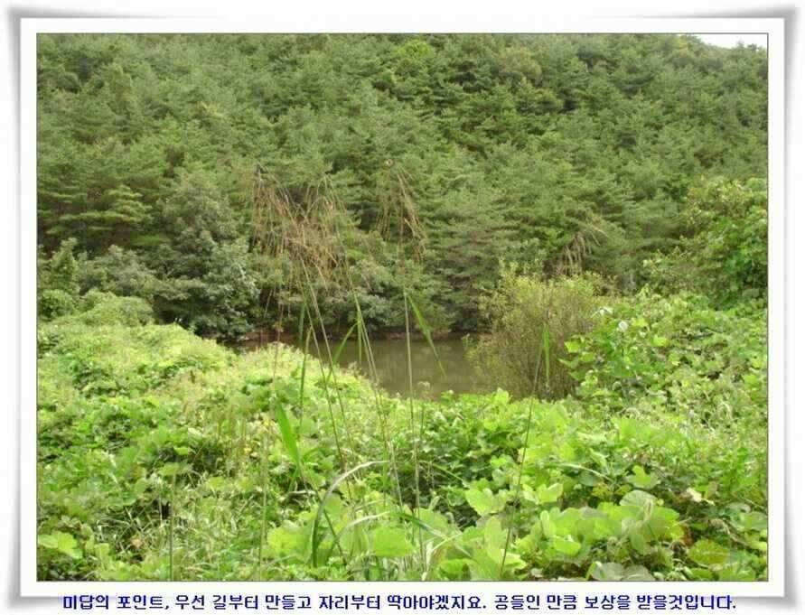 미개척소류지들과 대단한손맛 (조황조행기 - 낚시점조황)