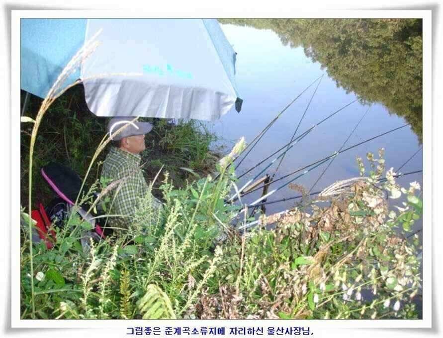 미개척소류지들과 대단한손맛 (조황조행기 - 낚시점조황)