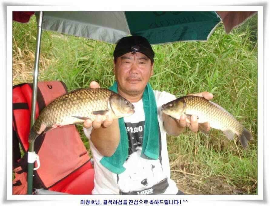 우보대물낚시 군위ic낚시로 이전개업 (조황조행기 - 낚시점조황)