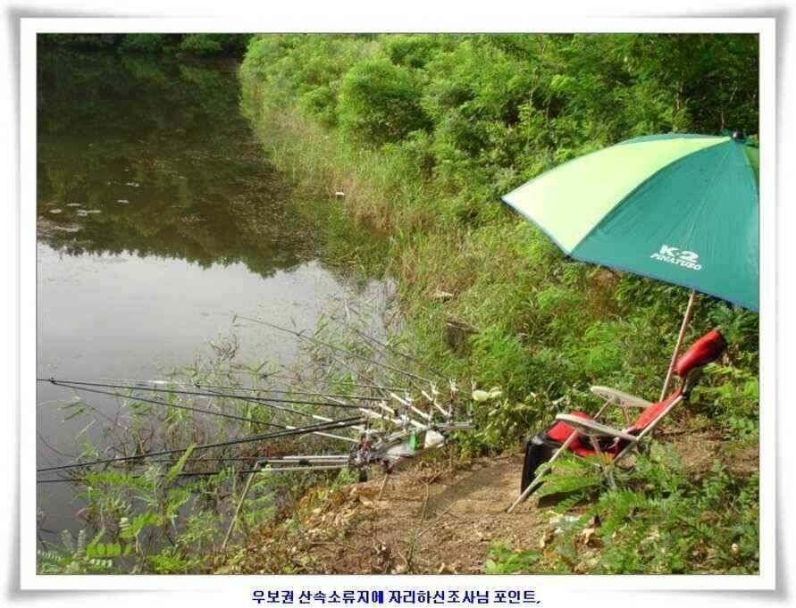 우보대물낚시 군위ic낚시로 이전개업 (조황조행기 - 낚시점조황)