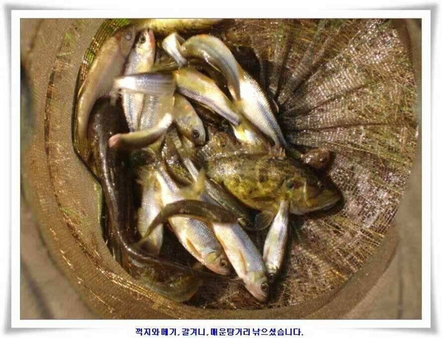 우보대물낚시 군위ic낚시로 이전개업 (조황조행기 - 낚시점조황)