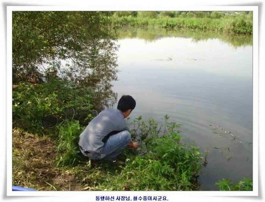 우보대물낚시 군위ic낚시로 이전개업 (조황조행기 - 낚시점조황)