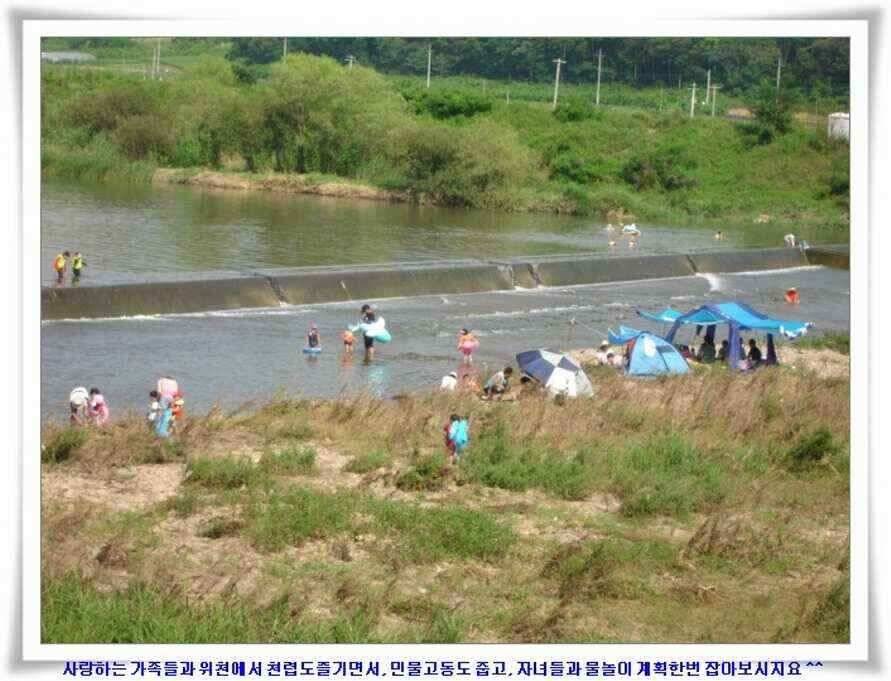 우보대물낚시 군위ic낚시로 이전개업 (조황조행기 - 낚시점조황)