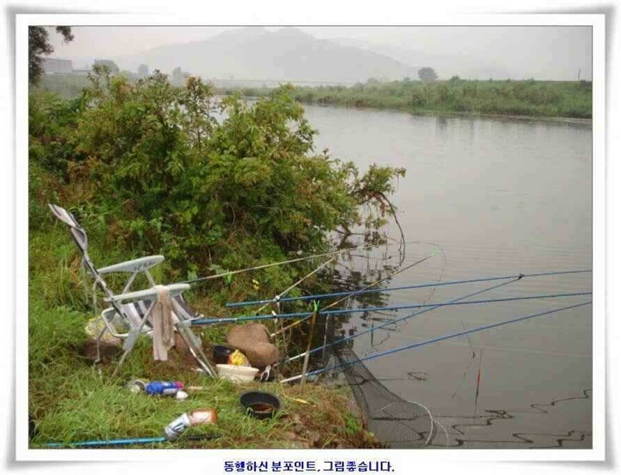 우보대물낚시 군위ic낚시로 이전개업 (조황조행기 - 낚시점조황)