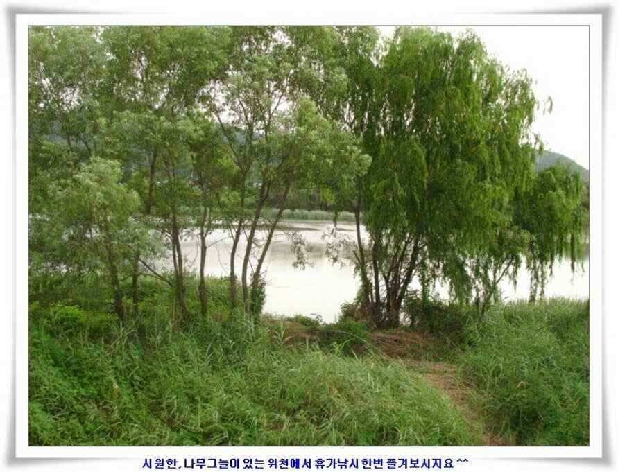 우보대물낚시 군위ic낚시로 이전개업 (조황조행기 - 낚시점조황)