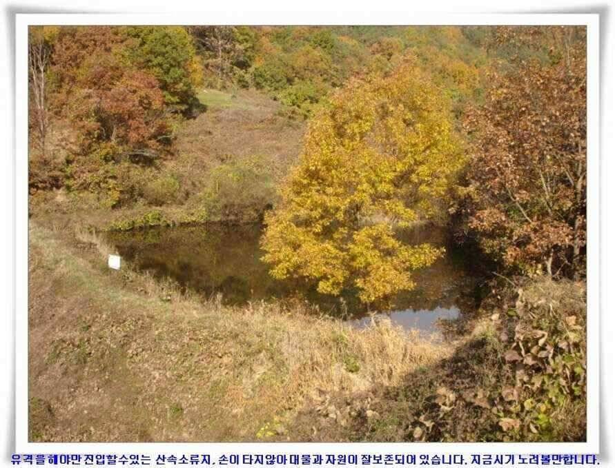 깊은가을 대물소식 (조황조행기 - 낚시점조황)