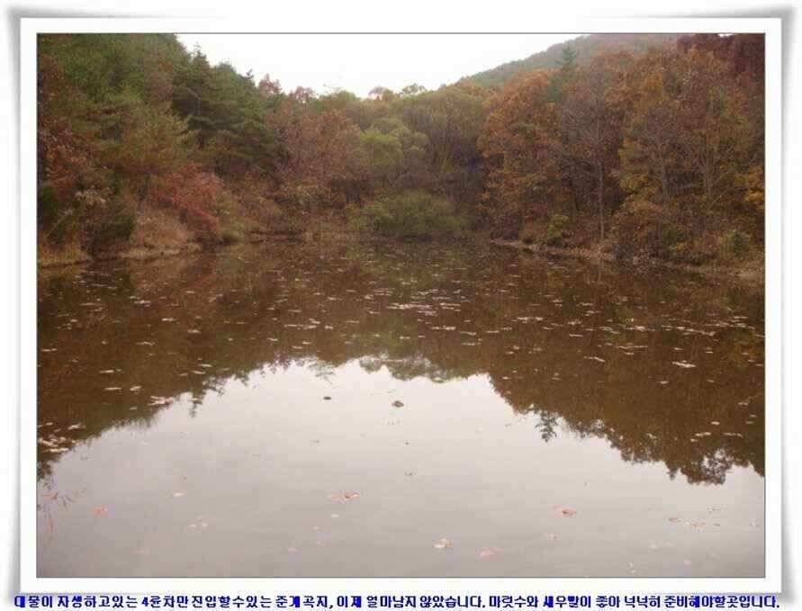 깊은가을 대물소식 (조황조행기 - 낚시점조황)