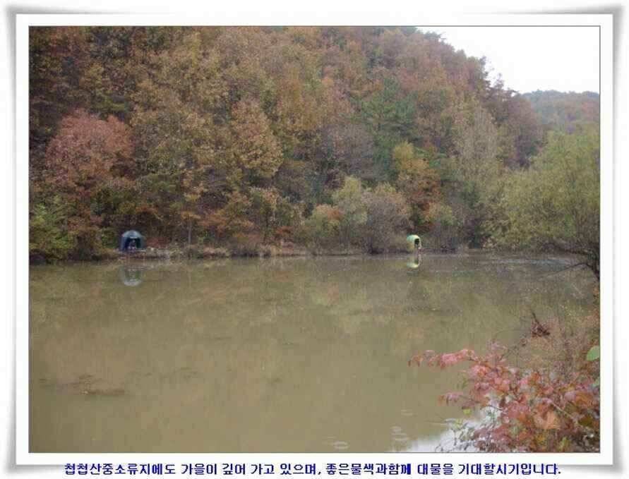 깊은가을 대물소식 (조황조행기 - 낚시점조황)