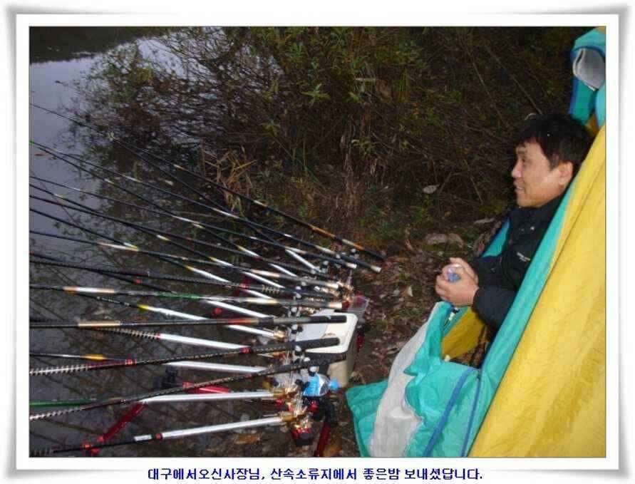 깊은가을 대물소식 (조황조행기 - 낚시점조황)