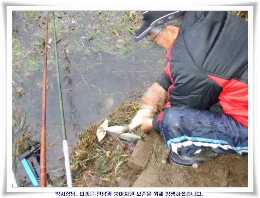 깊은가을 대물소식 (조황조행기 - 낚시점조황)