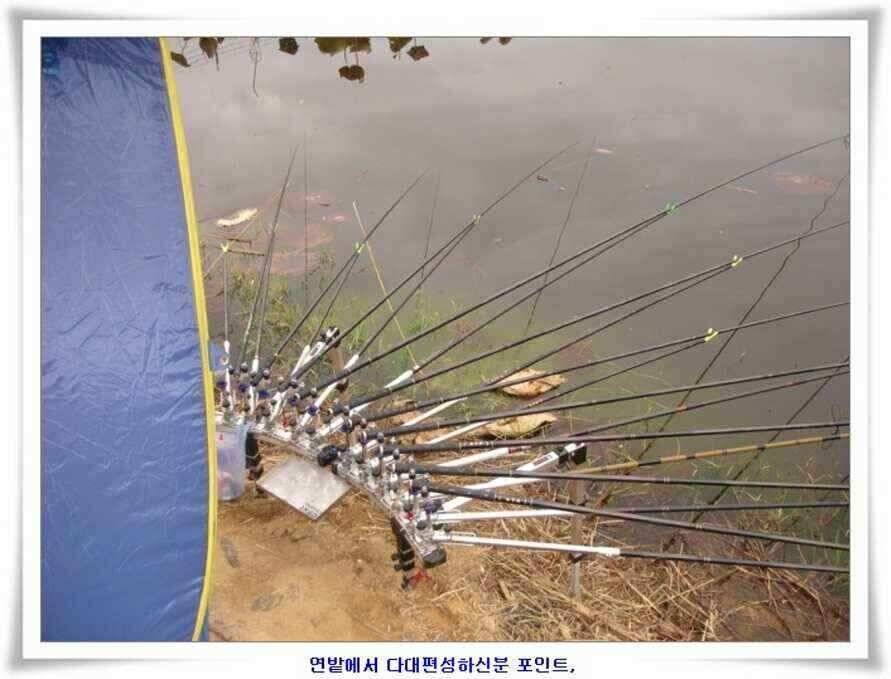 깊은가을 대물소식 (조황조행기 - 낚시점조황)