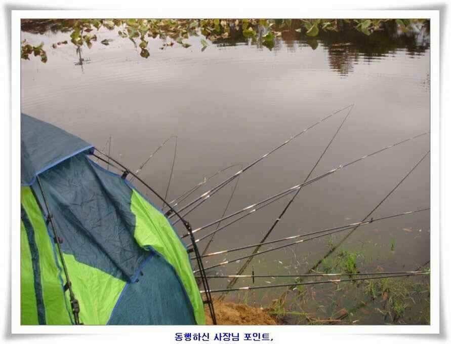 깊은가을 대물소식 (조황조행기 - 낚시점조황)
