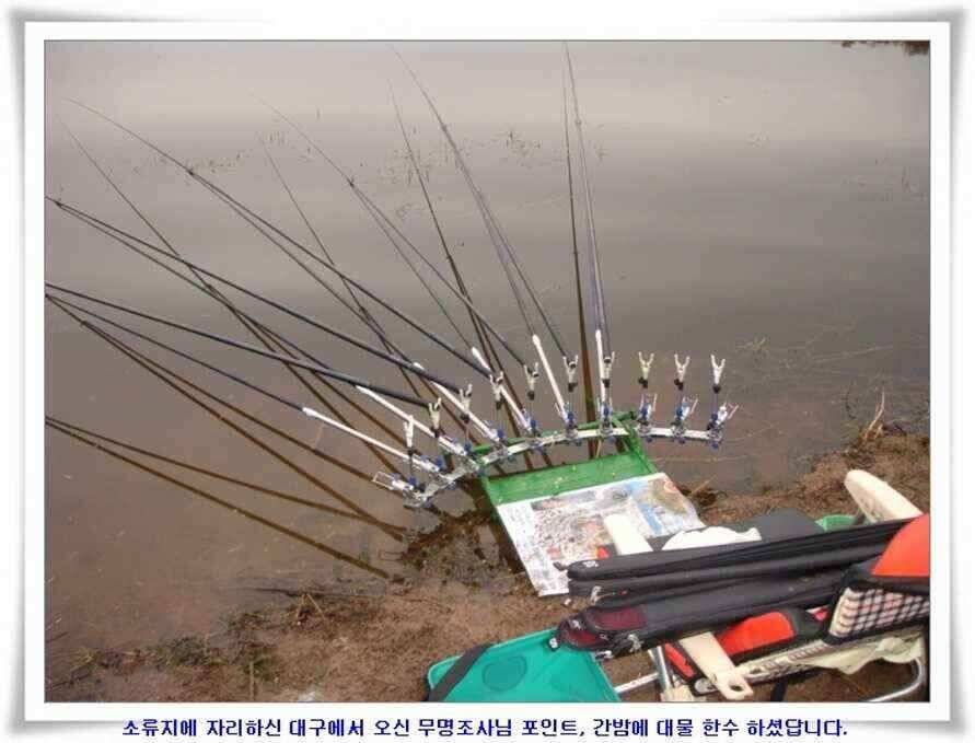 깊은가을 대물소식 (조황조행기 - 낚시점조황)