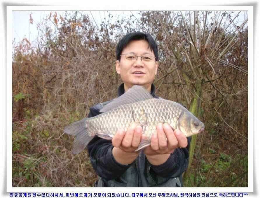 깊은가을 대물소식 (조황조행기 - 낚시점조황)