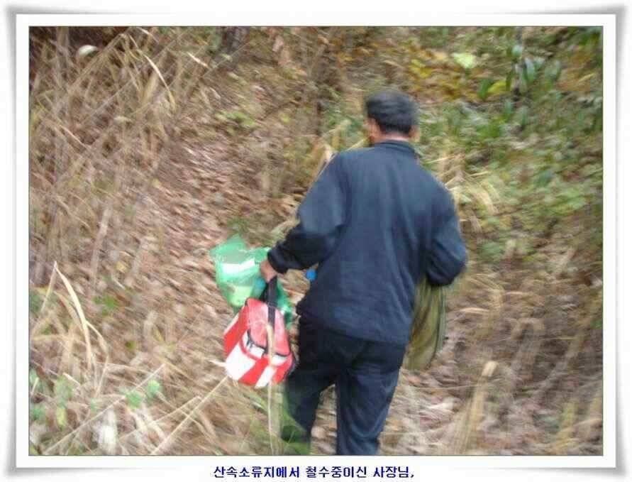 깊은가을 대물소식 (조황조행기 - 낚시점조황)