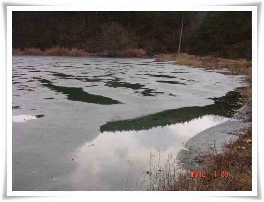 군위권 저수지 실시간 빙질상태입니다 (조황조행기 - 낚시점조황)