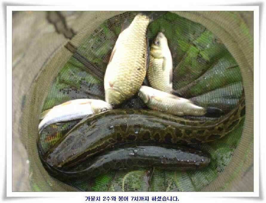 시즌의 출발점 (조황조행기 - 낚시점조황)