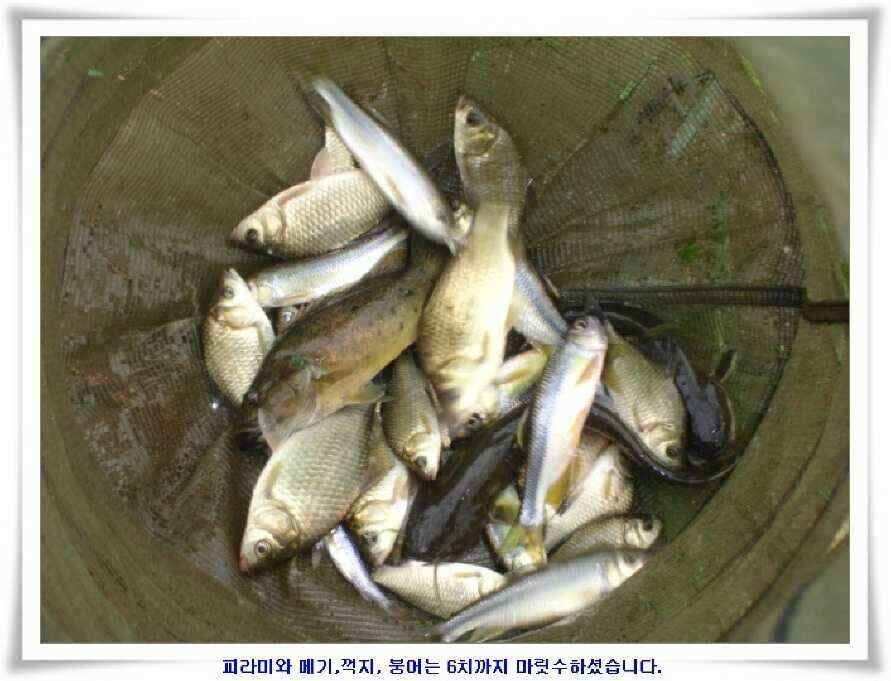 시즌의 출발점 (조황조행기 - 낚시점조황)