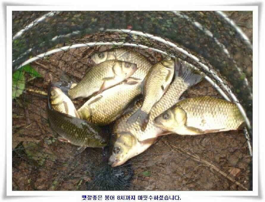 시즌의 출발점 (조황조행기 - 낚시점조황)