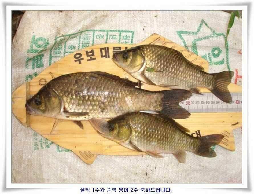 시즌의 출발점 (조황조행기 - 낚시점조황)