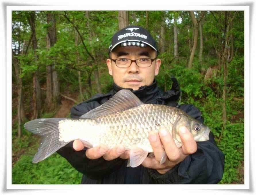 살아나는 조황 (조황조행기 - 낚시점조황)