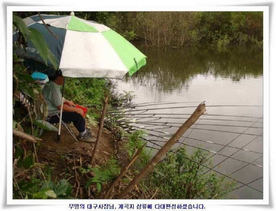 시즌의 출발점 (조황조행기 - 낚시점조황)