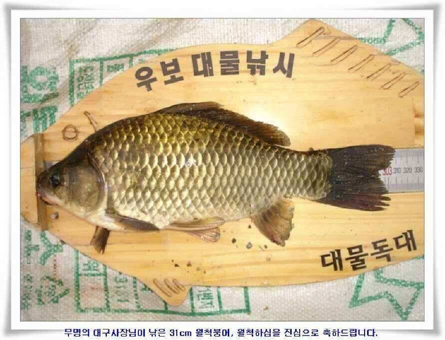 시즌의 출발점 (조황조행기 - 낚시점조황)